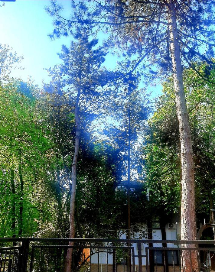 Rb Apartment 1 Палич Екстериор снимка