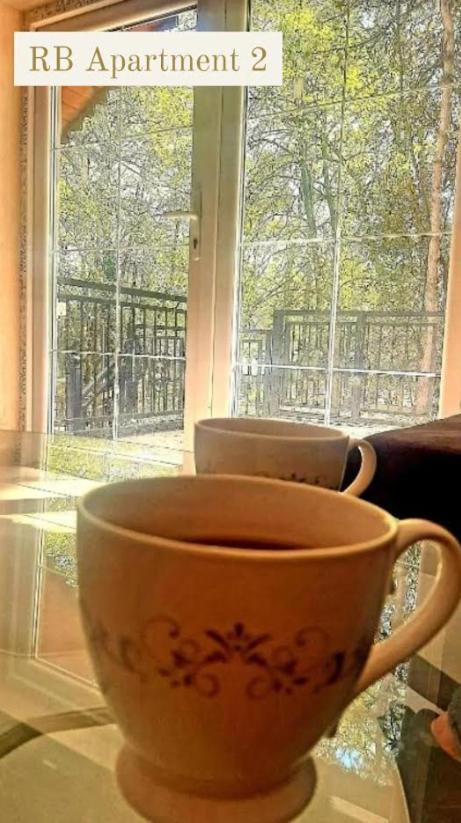 Rb Apartment 1 Палич Екстериор снимка