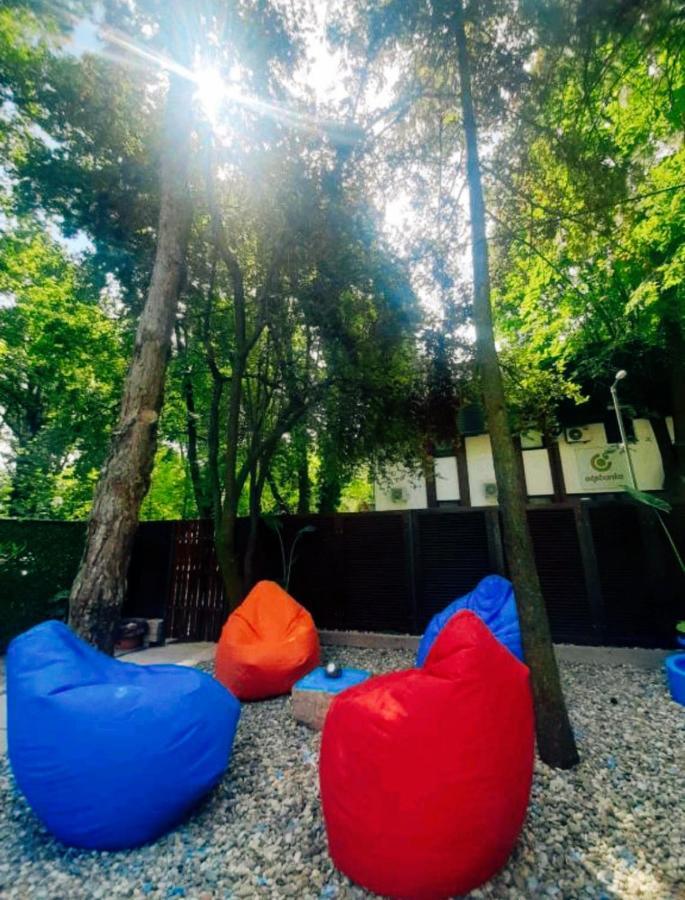 Rb Apartment 1 Палич Екстериор снимка
