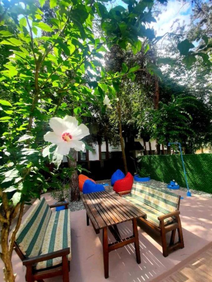 Rb Apartment 1 Палич Екстериор снимка