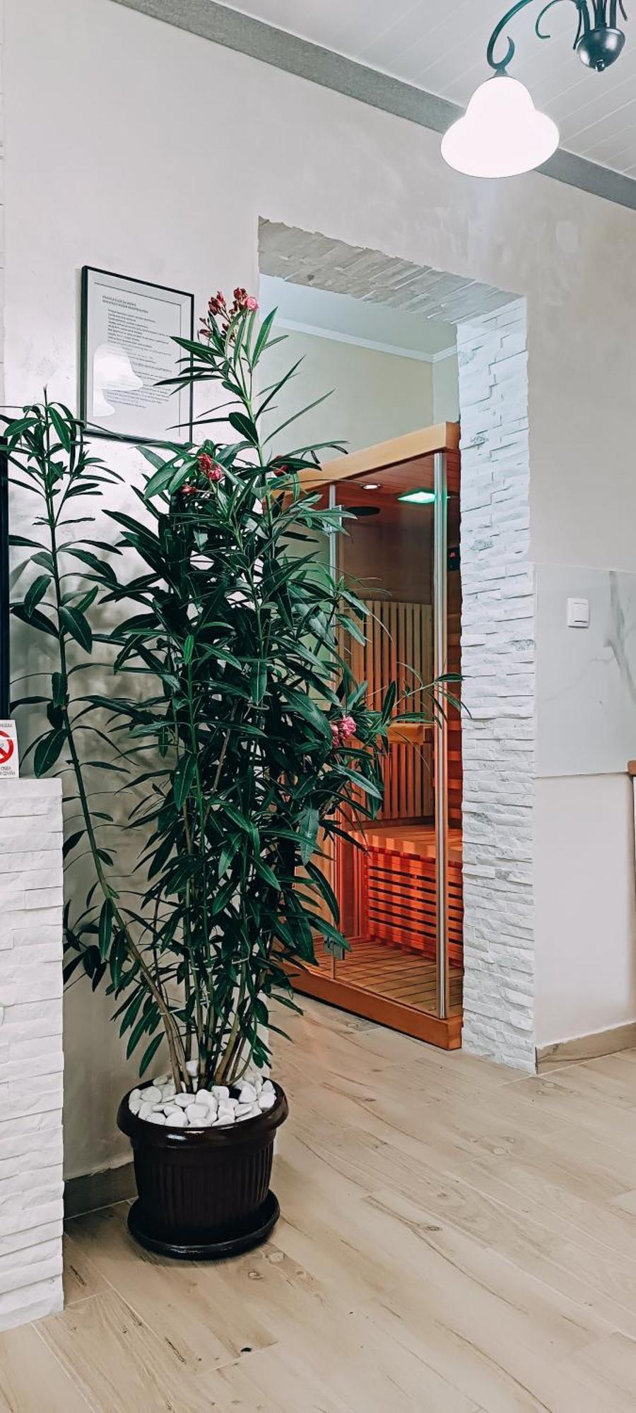 Rb Apartment 1 Палич Екстериор снимка