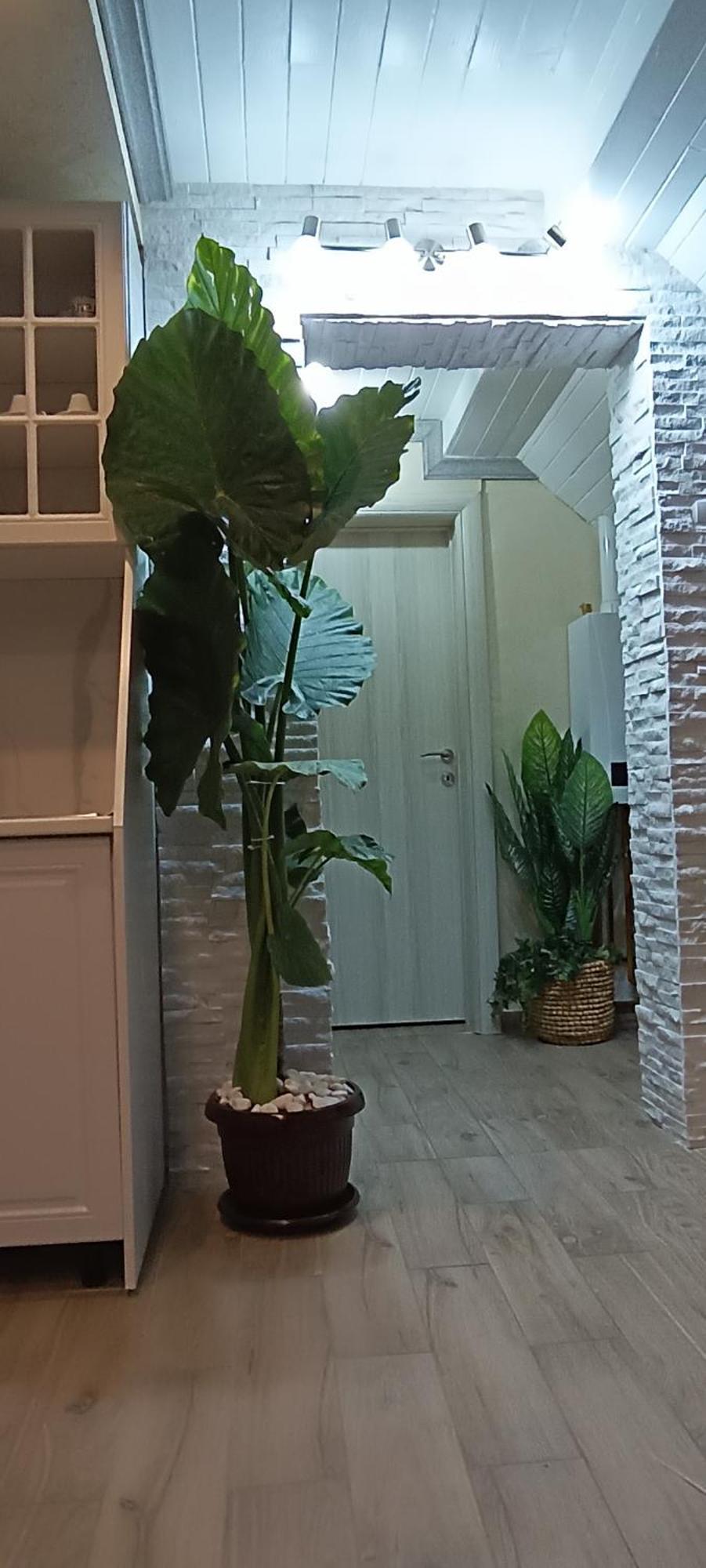 Rb Apartment 1 Палич Екстериор снимка